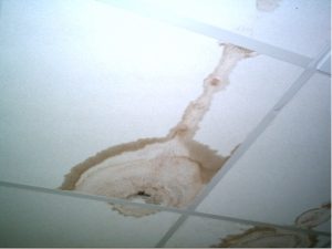 Leaks to ceilings